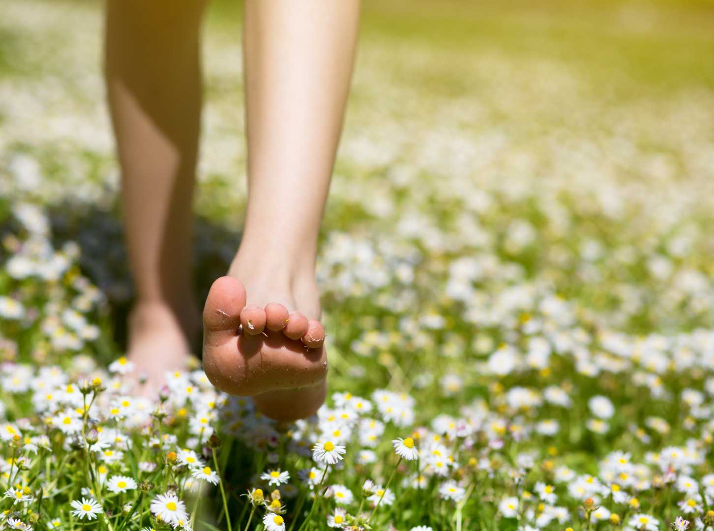 Junge l&auml;uft barfu&szlig; &uuml;ber Wiese mit G&auml;nsebl&uuml;mchen