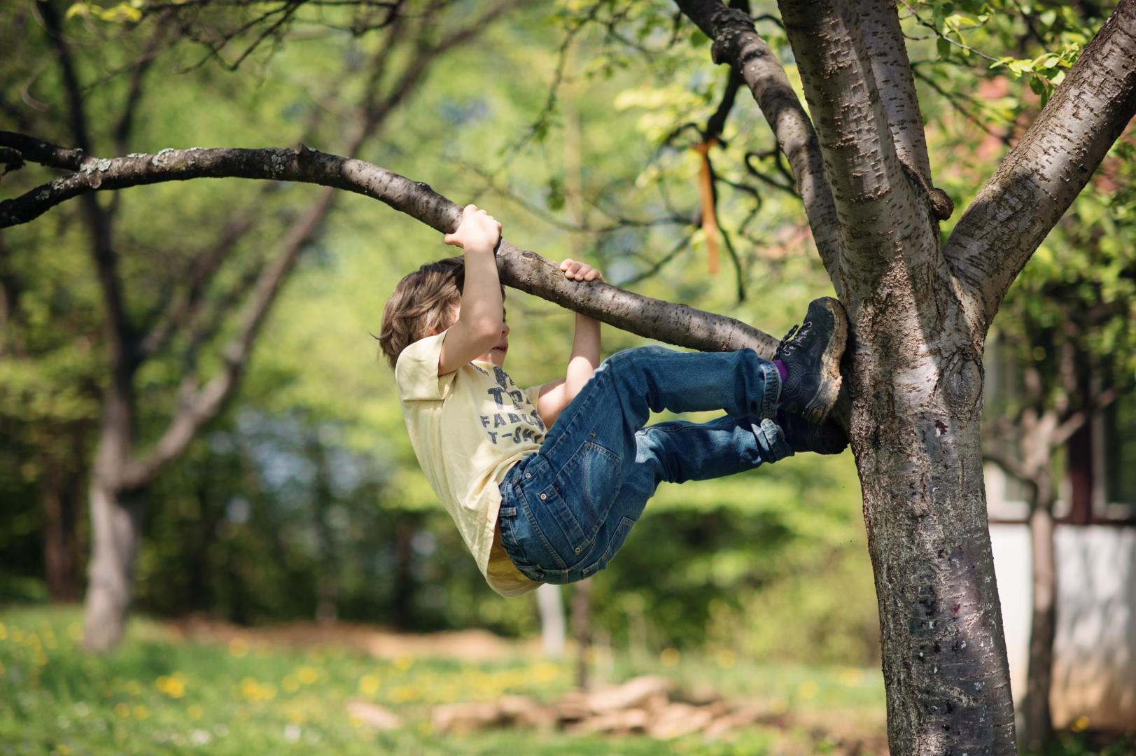 Junge klettert auf Baum