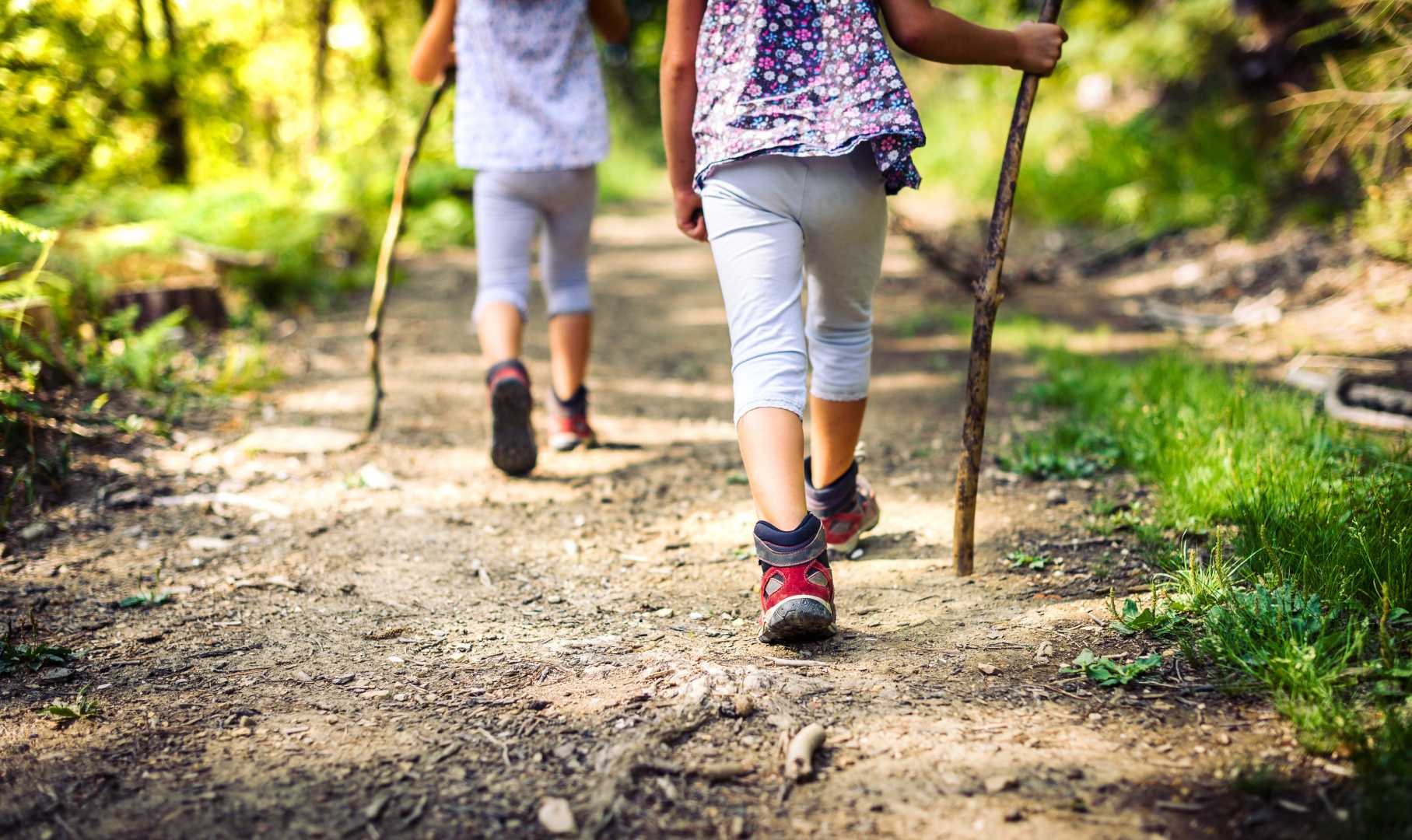 zwei Kinder wandern im Wald mit Wanderstock