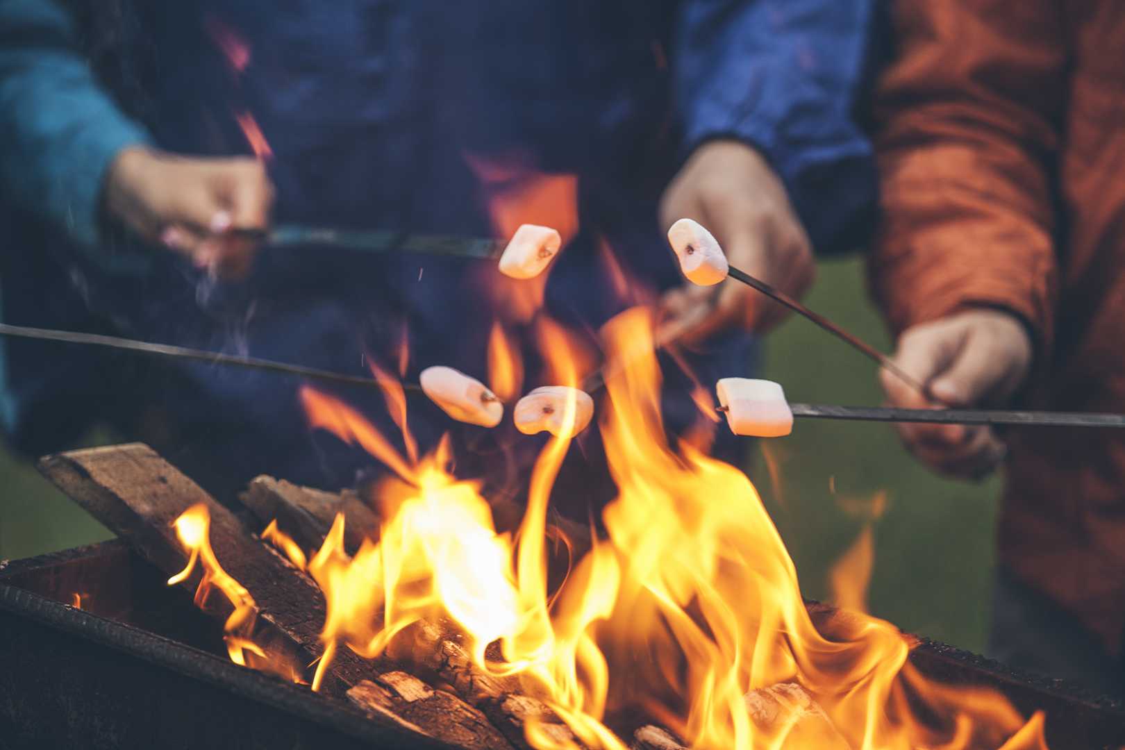 Freunde grillen Marshmallows &uuml;ber Feuer