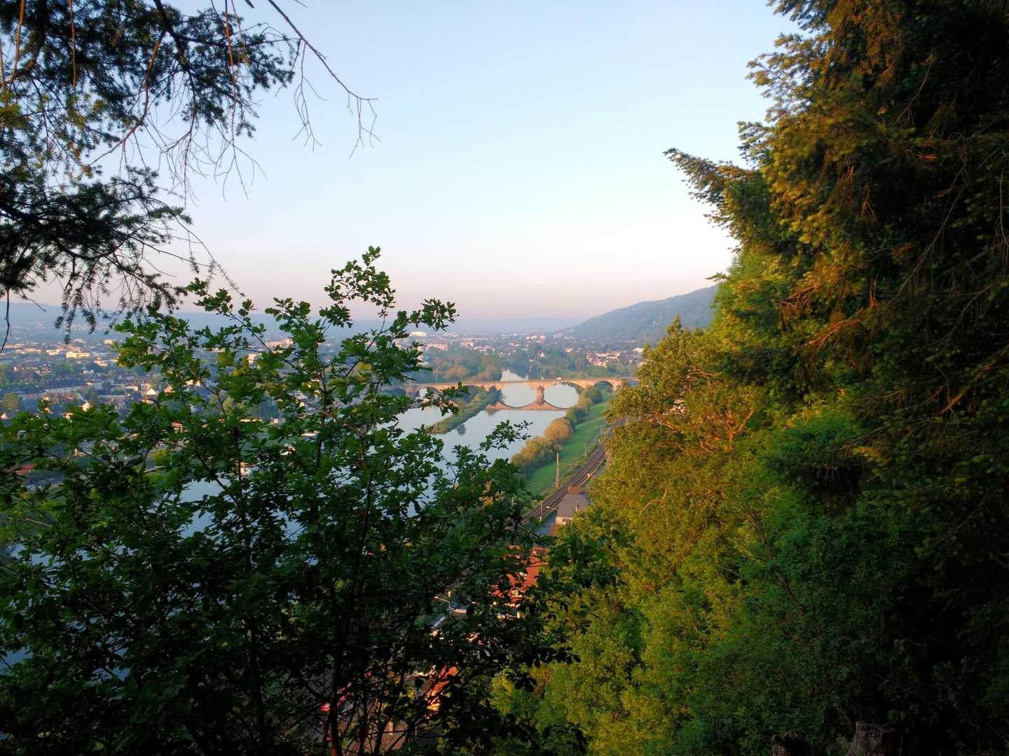 Blick vom Wald &uuml;ber eine Stadt