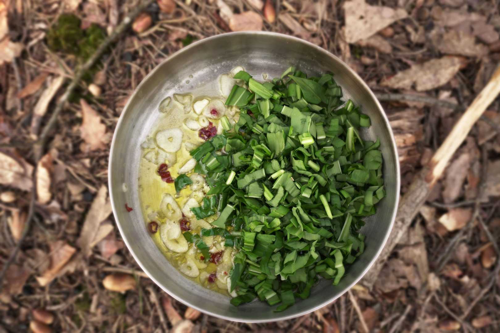 Kochtopf mit B&auml;rlauch, Knoblauch, Chili und &Ouml;l im Wald