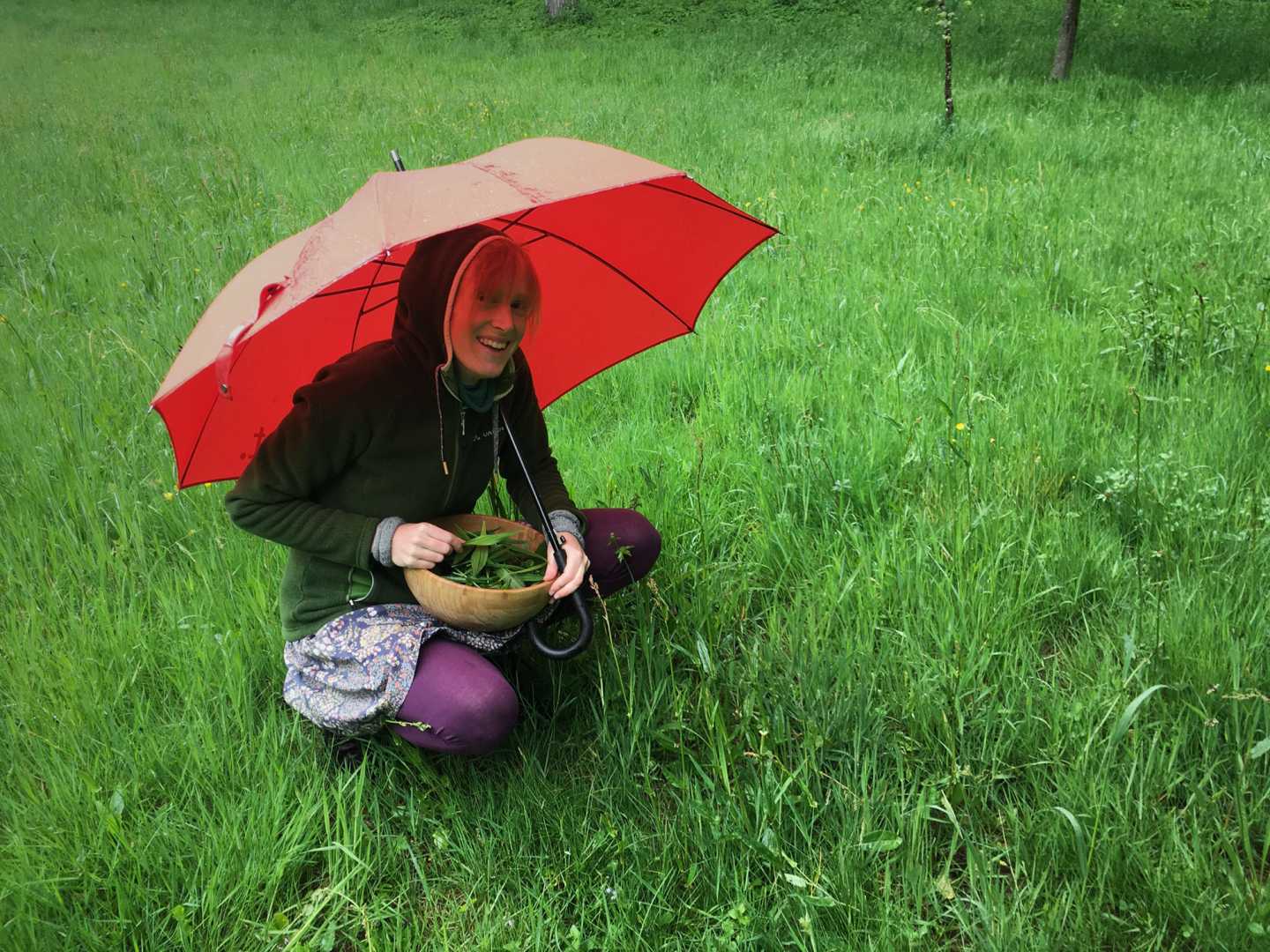 Frau sammelt Wildkräuter im Regen