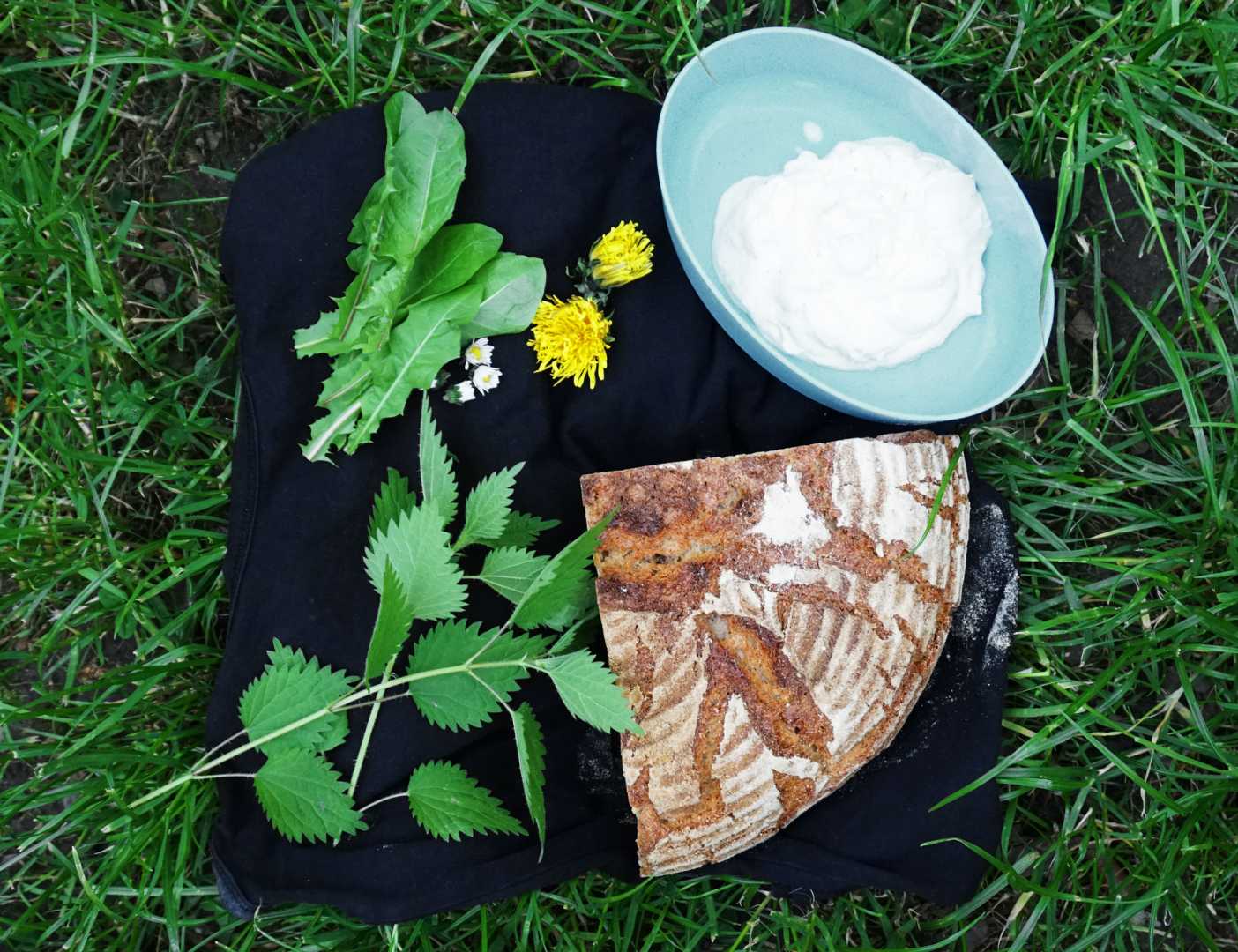 Wildkräuter, Quark, Brot auf Wiese