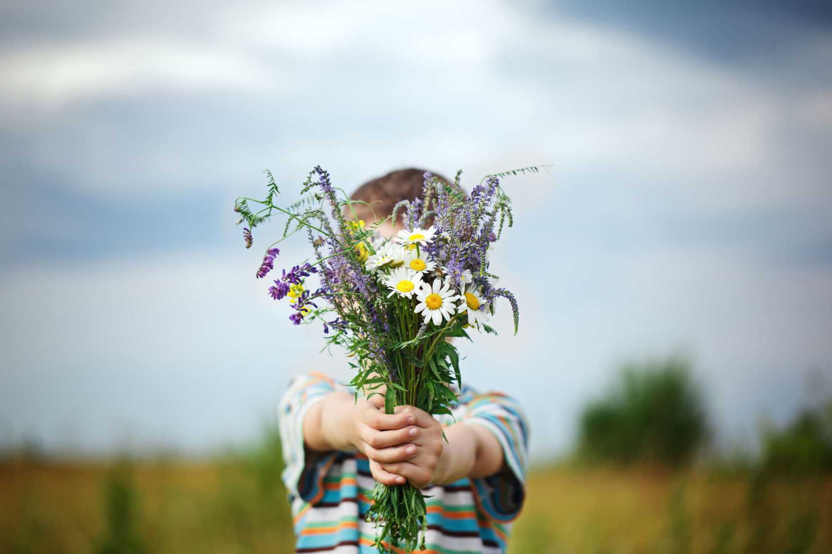 Kleiner Junge in einer Wiese mit Wildblumenstra&szlig; in der Hand