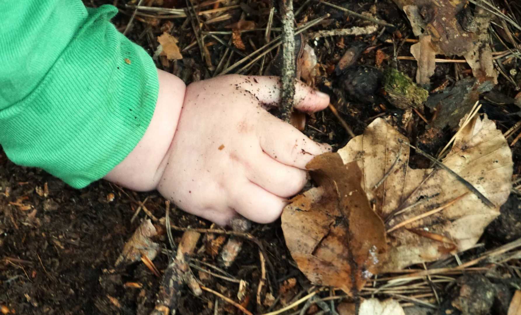 Babyhand auf dem Waldboden