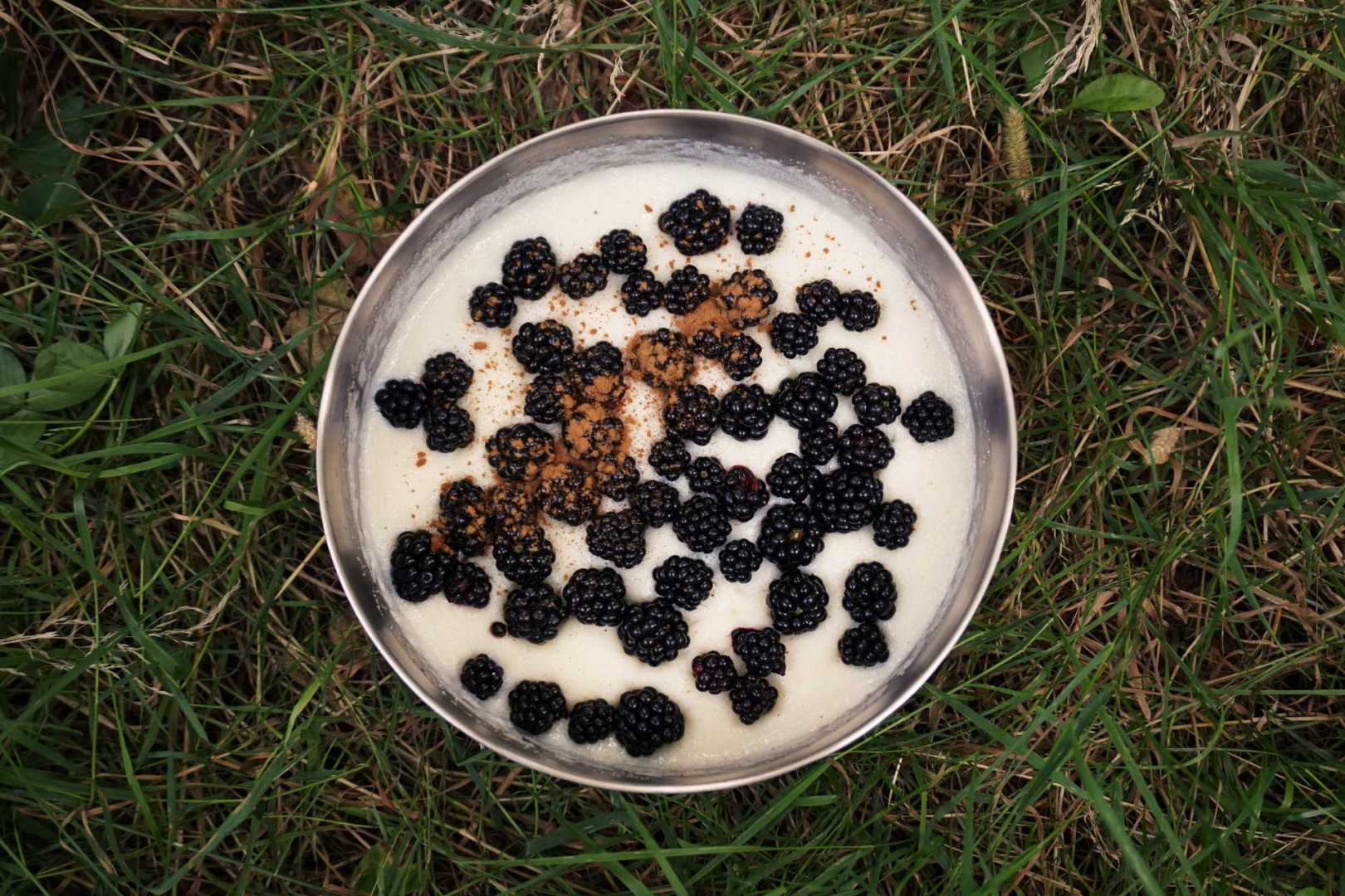 Garniere den Griesbrei mit den gefundenen Wald-Brombeeren und streue etwas Zimt dar&uuml;ber