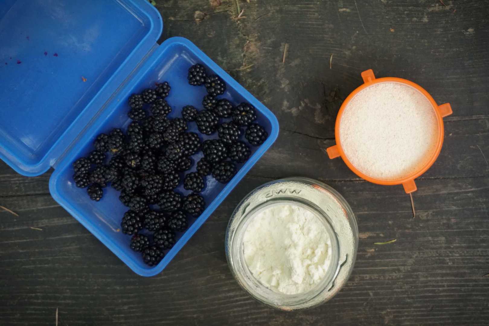 Die Grundzutaten f&uuml;r den Griesbrei mit Brombeeren: Brombeeren, Bio-Milchpulver, weichweizengries