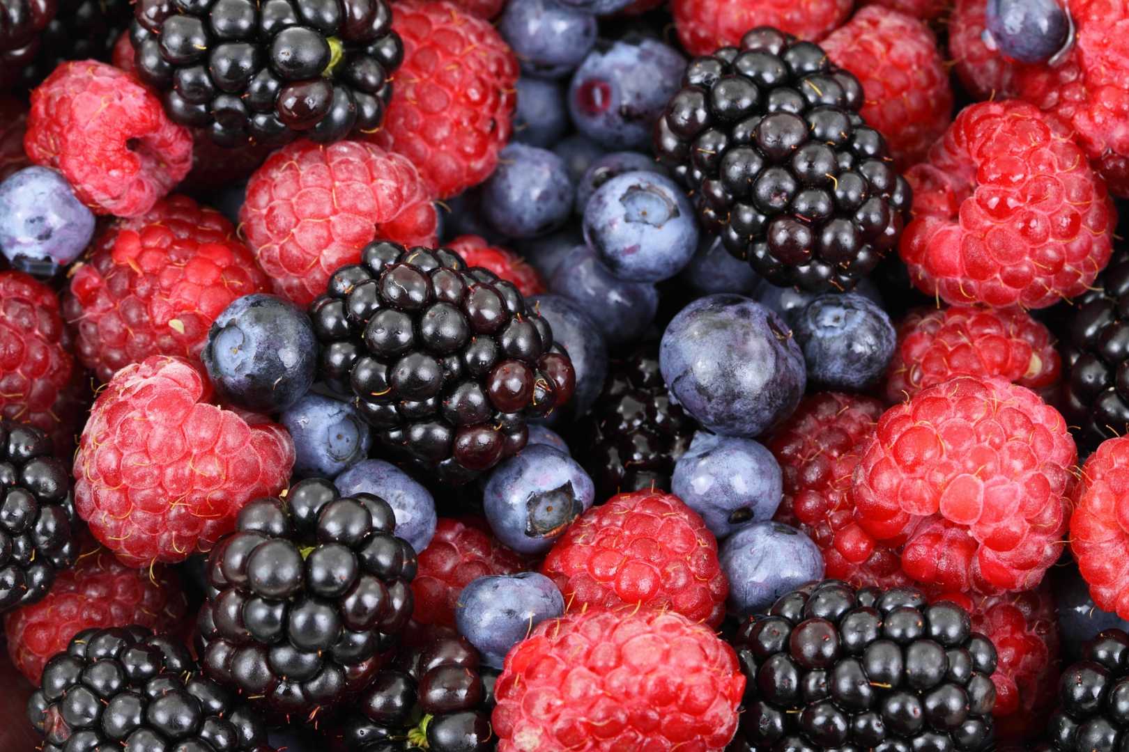 Brombeeren Himbeeren Heidelbeeren