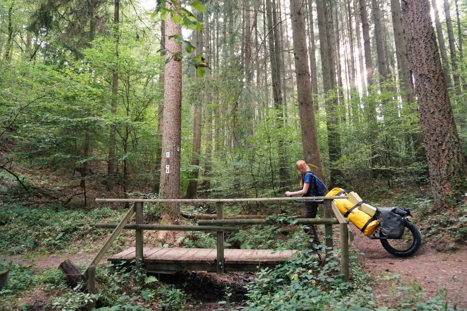 Jana mit Monowalker auf Brücke im Wald