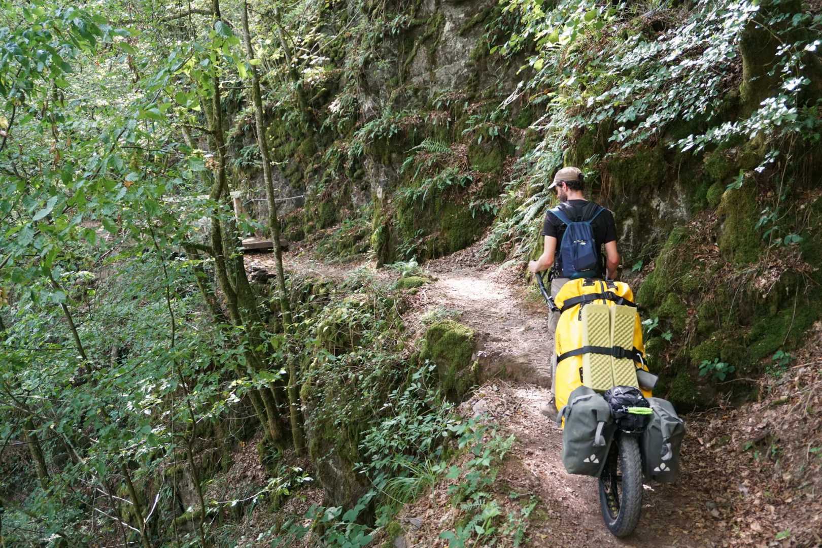 Paddy mit Monowalker auf Pfad