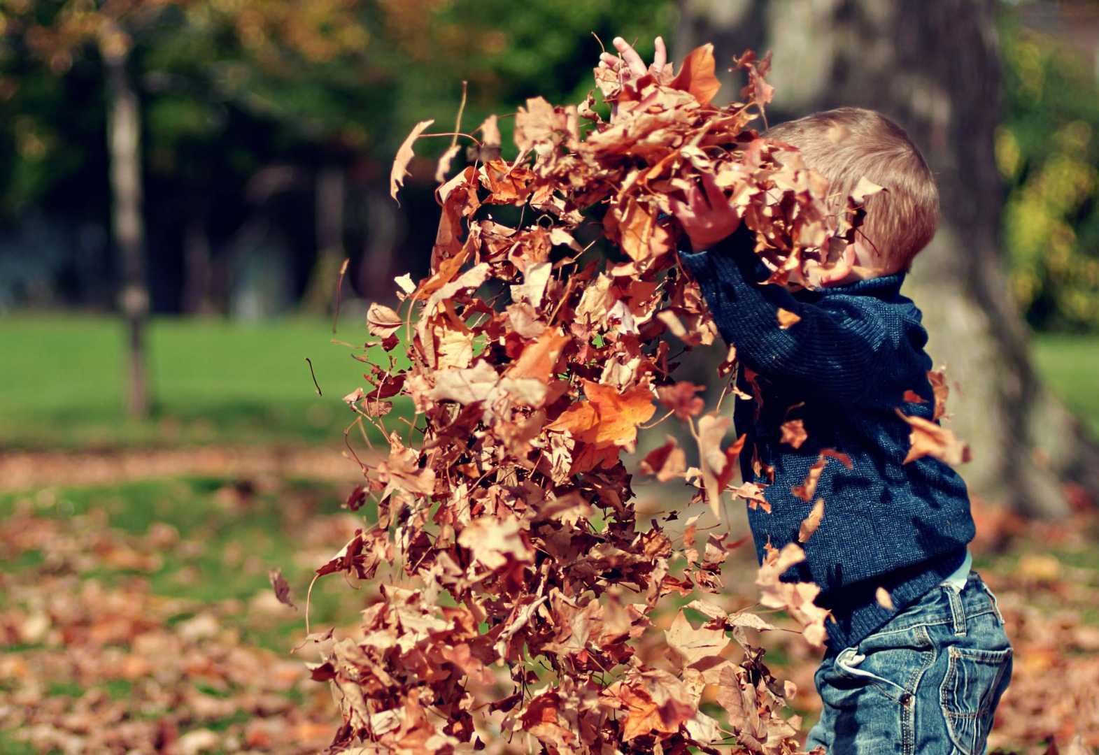 Junge wirft Herbstbl&auml;tter in die Luft
